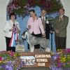 Clackamas County Kennel Club Dog Show