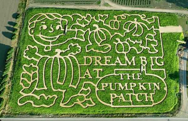 Coupons For The Pumpkin Patch On Sauvie Island