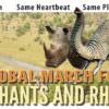 Global March to Save Elephants and Rhinos @ Terry Schrunk Plaza | Portland Joins 135 Cities Around the World, Guest Speakers elephants