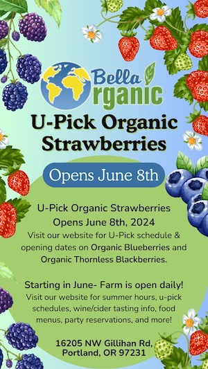 U-Pick Berry Season Opens June 1st Flyer - 1