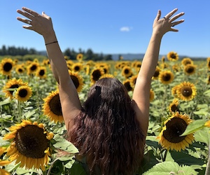 Bella Organic Sunflower Banner