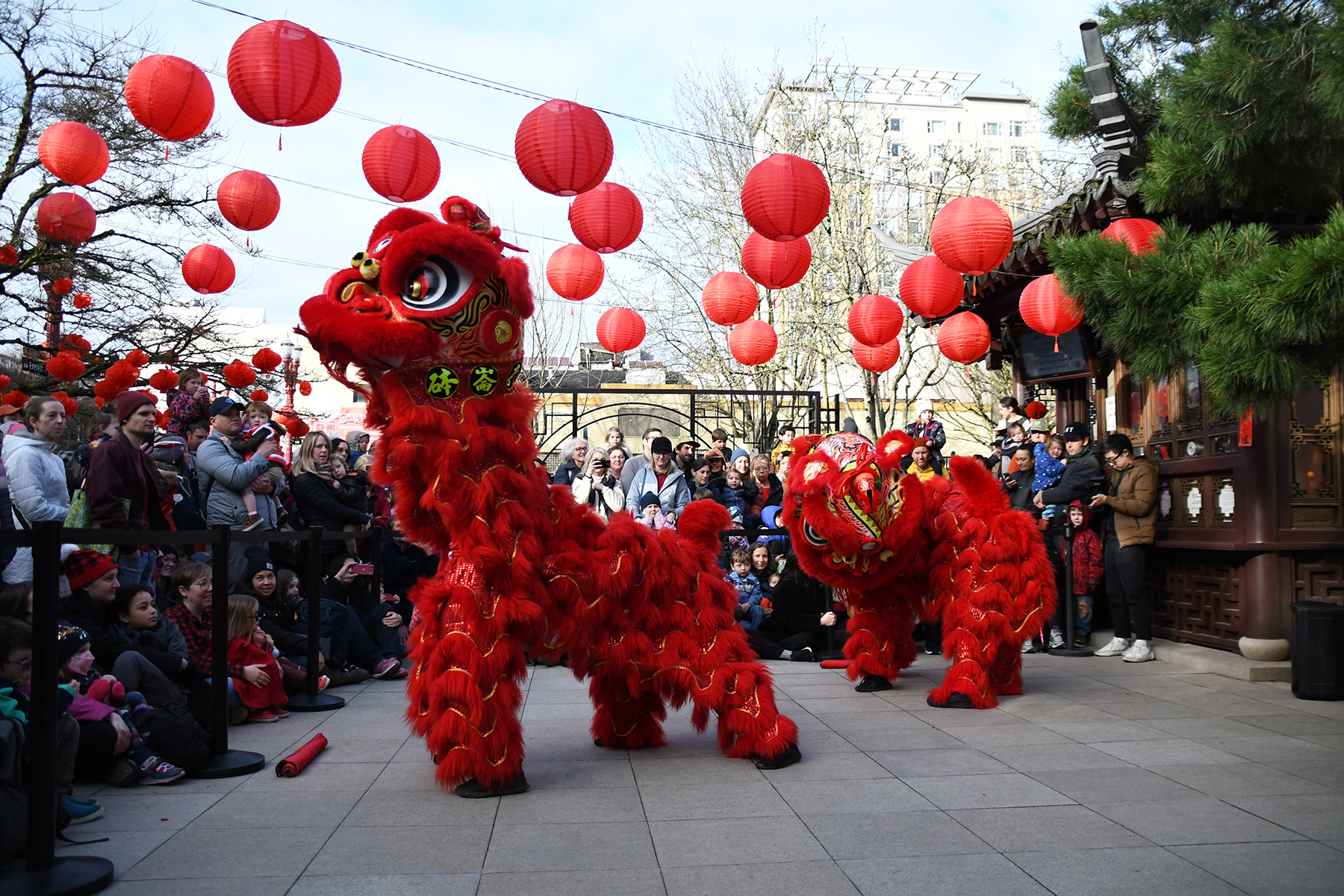 chinese new year activities for babies